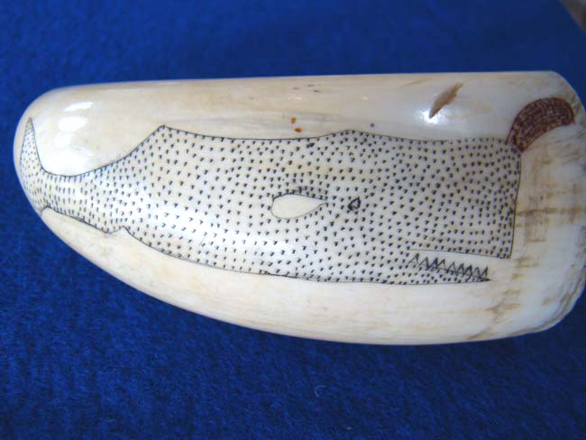 A charming polycromed scrimshaw whale's tooth with pinprick depiction of a sperm whale circa 1860-1880.